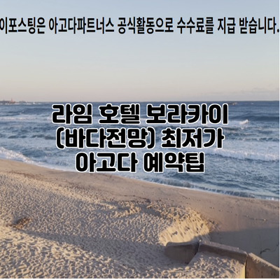 라임 호텔 보라카이 (바다전망) 최저가 아고다 예약팁