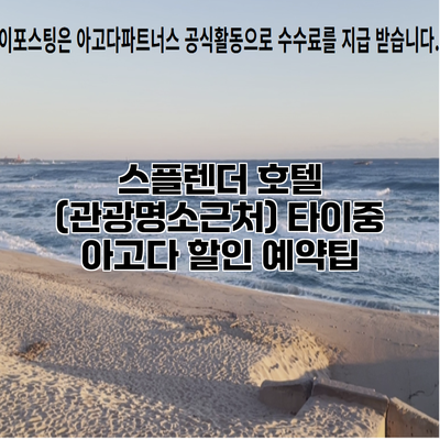 스플렌더 호텔 (관광명소근처) 타이중 아고다 할인 예약팁