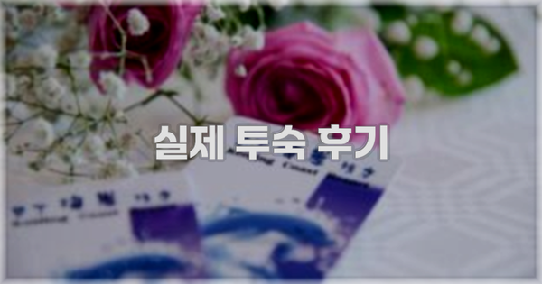 💬 실제 투숙 후기