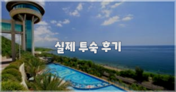 💬 실제 투숙 후기